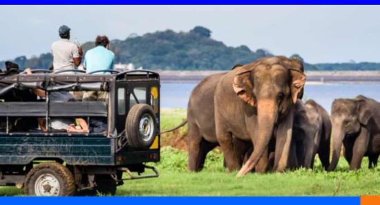 සංචාරකයින් පැමිණීම 1,460,000 ඉක්මවයි...